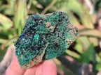 Natural Crystalline Malachite Specimens with Mellite x 12 From Tenke Fungurume, Congo - Toprock Gemstones and Minerals 