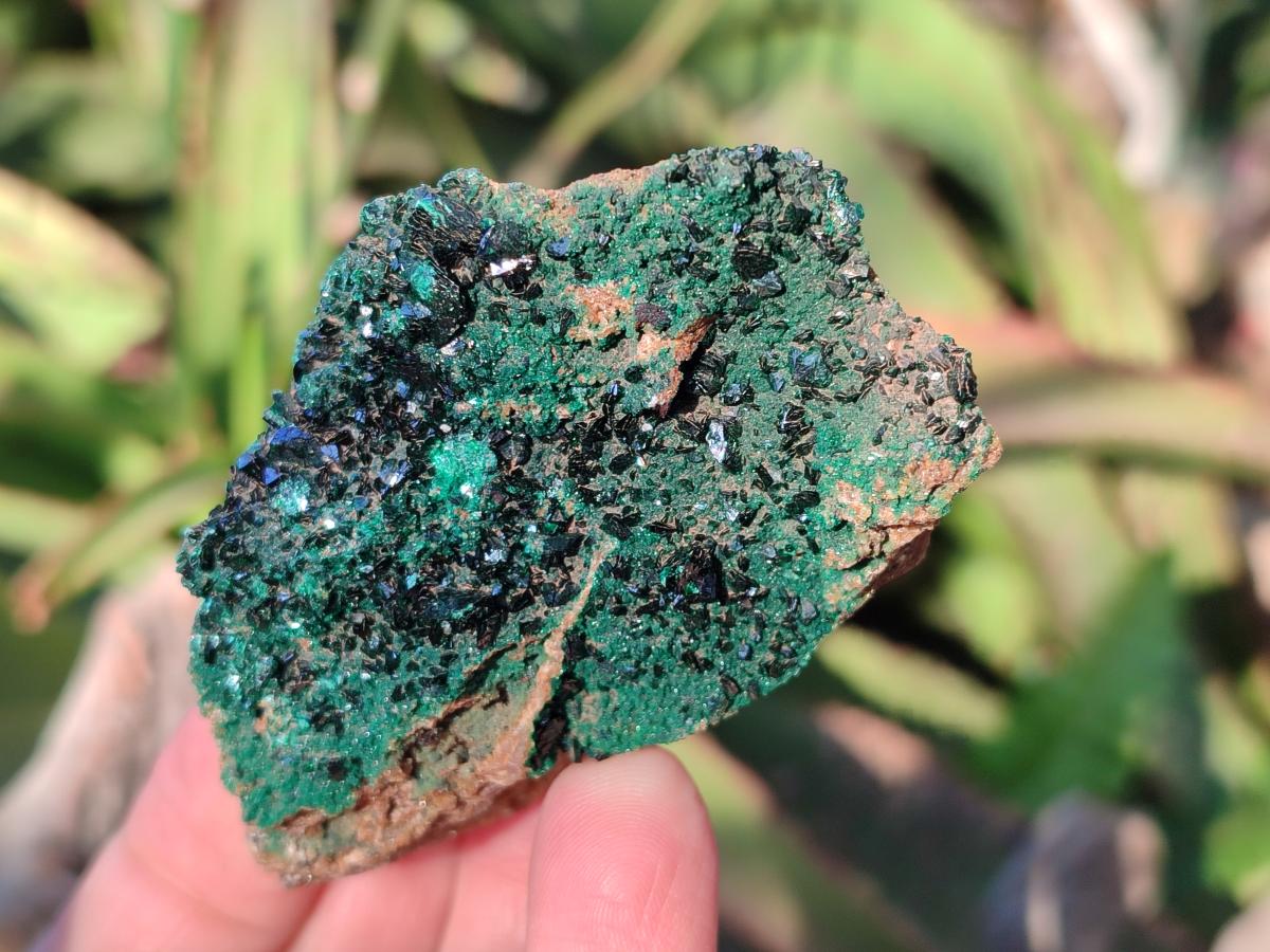 Natural Crystalline Malachite Specimens with Mellite x 12 From Tenke Fungurume, Congo - Toprock Gemstones and Minerals 