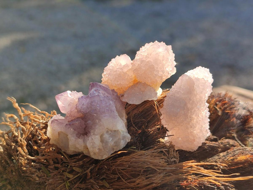 Natural Spirit Amethyst Clusters x 35 From Boekenhouthoek, South Africa - Toprock Gemstones and Minerals 
