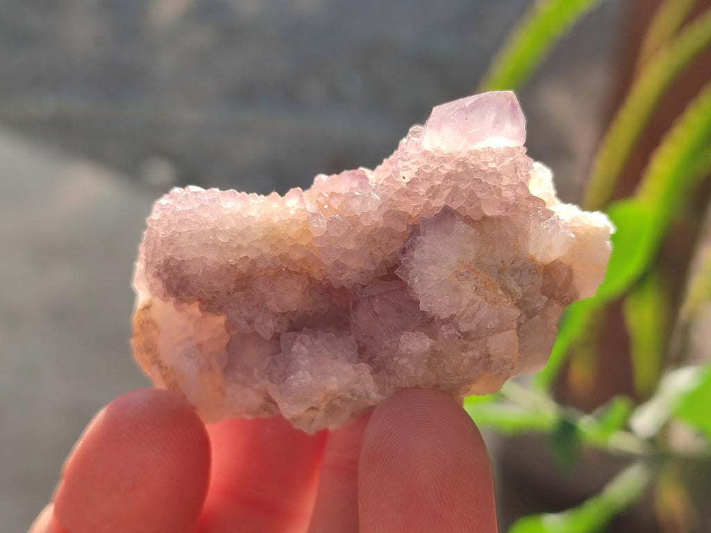 Natural Spirit Amethyst Clusters x 35 From Boekenhouthoek, South Africa - Toprock Gemstones and Minerals 