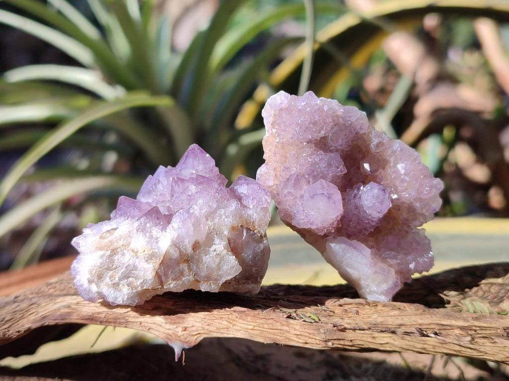 Natural Spirit Amethyst Clusters x 35 From Boekenhouthoek, South Africa - Toprock Gemstones and Minerals 