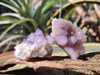 Natural Spirit Amethyst Clusters x 35 From Boekenhouthoek, South Africa - Toprock Gemstones and Minerals 