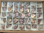 Natural Spirit Amethyst Clusters x 35 From Boekenhouthoek, South Africa - Toprock Gemstones and Minerals 