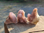 Natural Spirit Amethyst Clusters x 35 From Boekenhouthoek, South Africa - Toprock Gemstones and Minerals 
