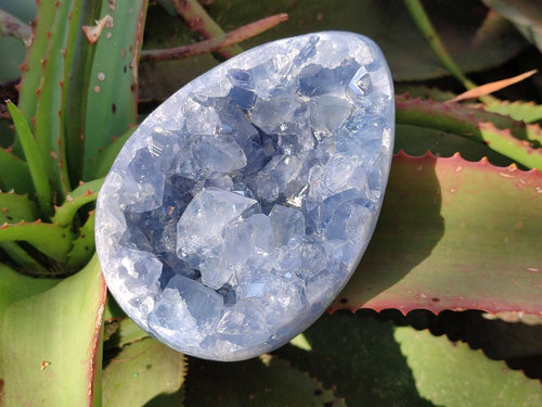 Polished Blue Celestite Eggs x 2 From Sakoany, Madagascar - Toprock Gemstones and Minerals 