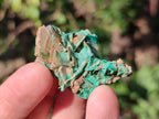 Natural Rare Bladed Barite with Malachite Specimens x 20 From Shangulowé Mine, Congo - Toprock Gemstones and Minerals 