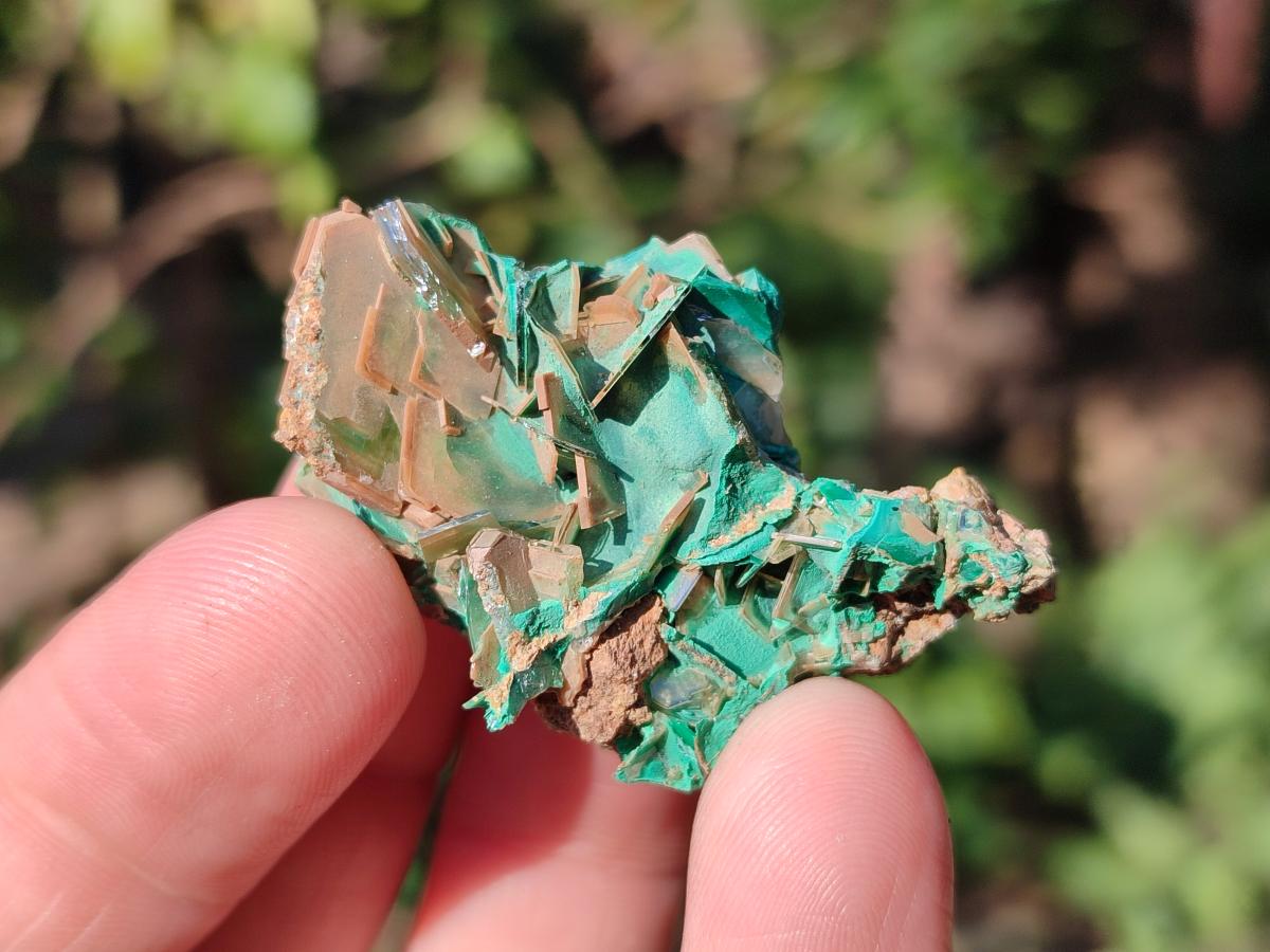Natural Rare Bladed Barite with Malachite Specimens x 20 From Shangulowé Mine, Congo - Toprock Gemstones and Minerals 