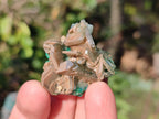 Natural Rare Bladed Barite with Malachite Specimens x 20 From Shangulowé Mine, Congo - Toprock Gemstones and Minerals 