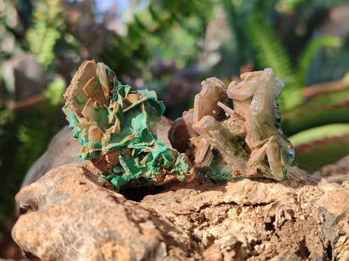 Natural Rare Bladed Barite with Malachite Specimens x 20 From Shangulowé Mine, Congo - Toprock Gemstones and Minerals 
