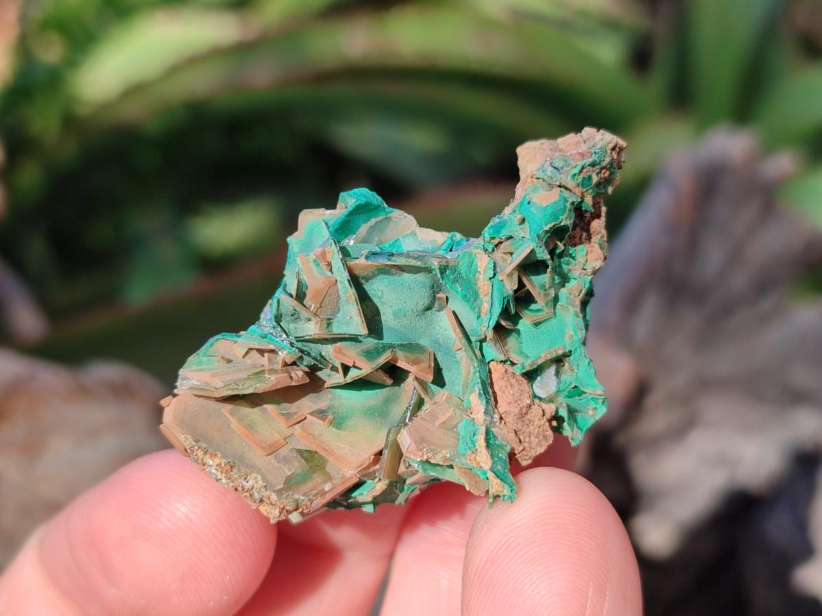 Natural Rare Bladed Barite with Malachite Specimens x 20 From Shangulowé Mine, Congo - Toprock Gemstones and Minerals 