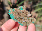 Natural Rare Bladed Barite with Malachite Specimens x 20 From Shangulowé Mine, Congo - Toprock Gemstones and Minerals 