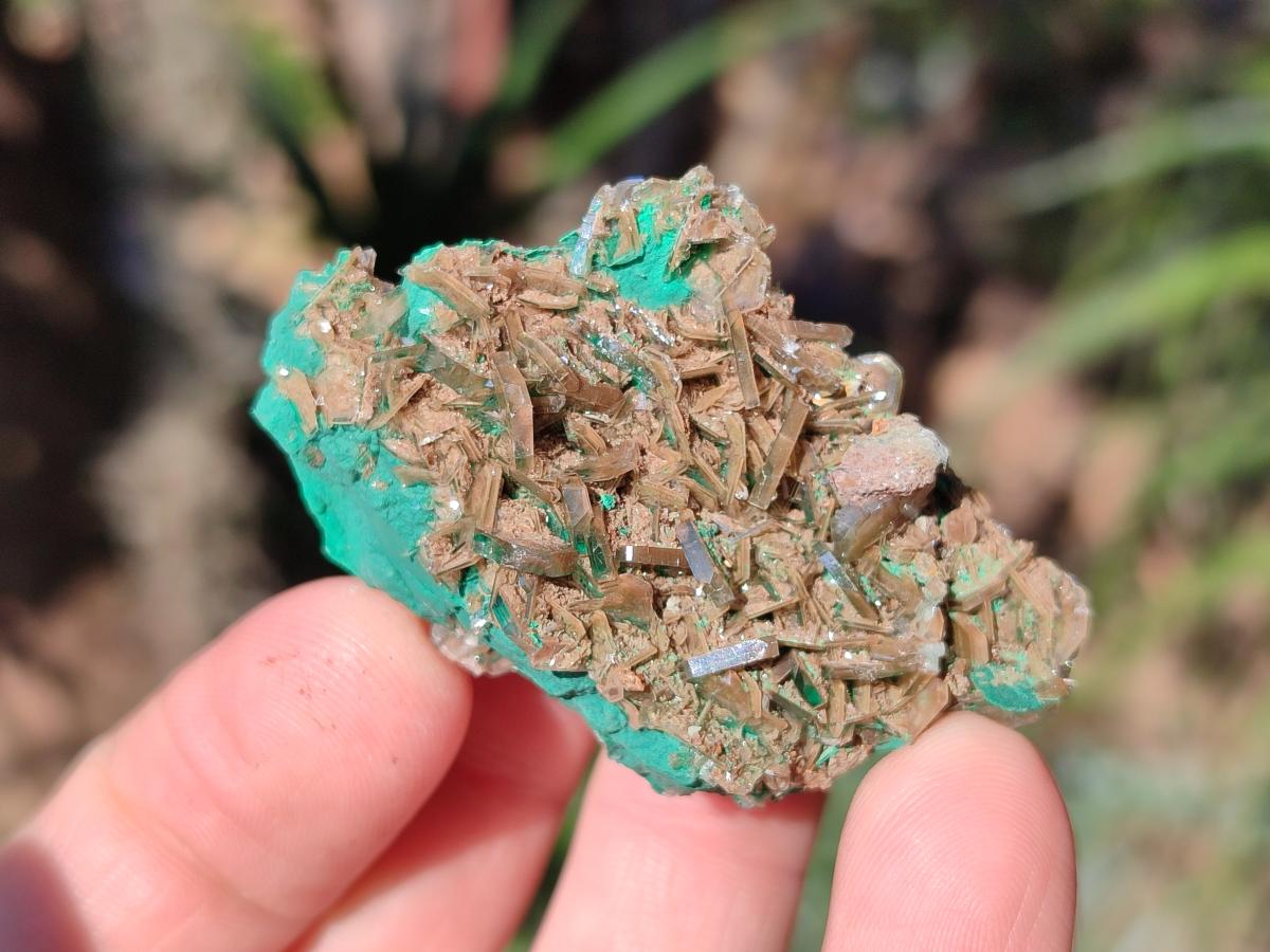 Natural Rare Bladed Barite with Malachite Specimens x 20 From Shangulowé Mine, Congo - Toprock Gemstones and Minerals 