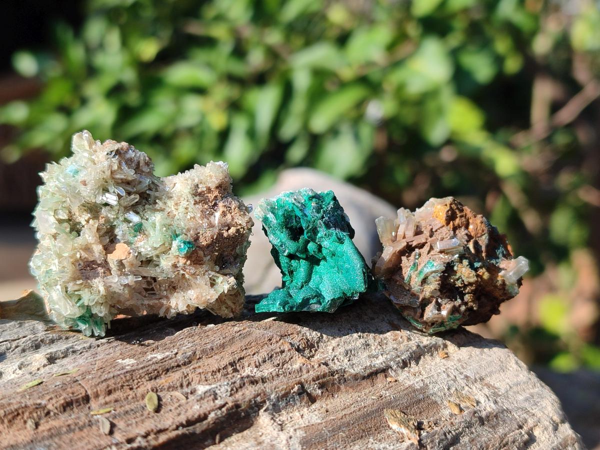 Natural Rare Bladed Barite with Malachite Specimens x 20 From Shangulowé Mine, Congo - Toprock Gemstones and Minerals 