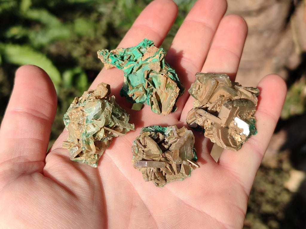 Natural Rare Bladed Barite with Malachite Specimens x 20 From Shangulowé Mine, Congo - Toprock Gemstones and Minerals 