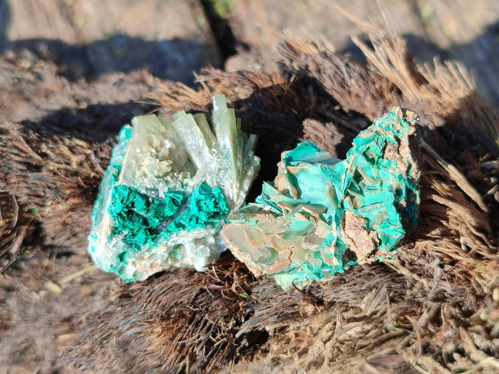 Natural Rare Bladed Barite with Malachite Specimens x 20 From Shangulowé Mine, Congo - Toprock Gemstones and Minerals 