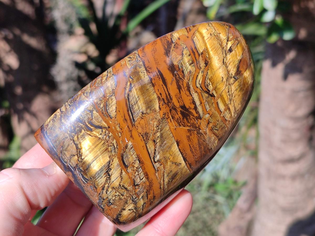 Polished Golden Tigers Eye Display Crystals x 3 From Prieska, South Africa - Toprock Gemstones and Minerals 