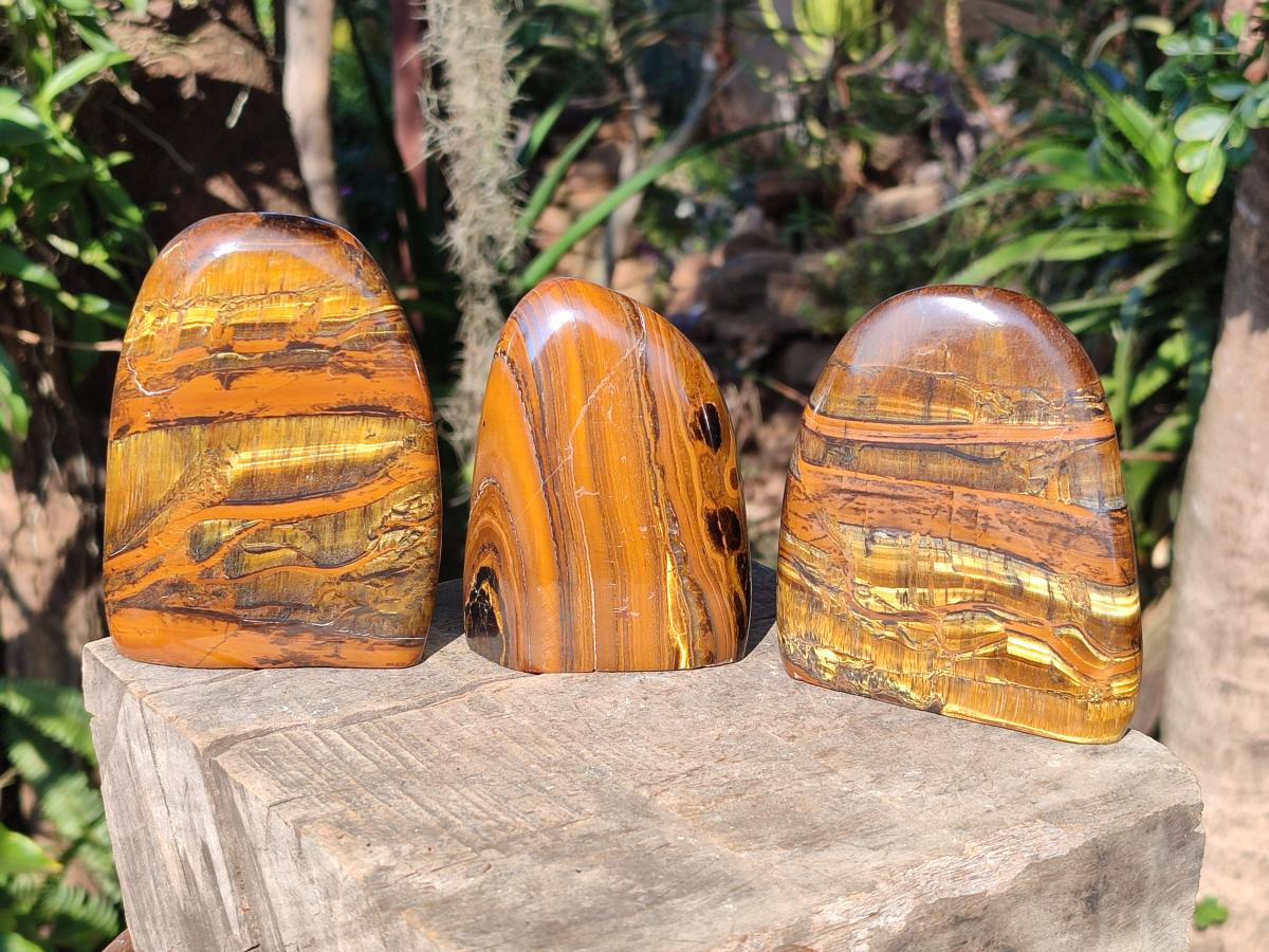 Polished Golden Tigers Eye Display Crystals x 3 From Prieska, South Africa - Toprock Gemstones and Minerals 