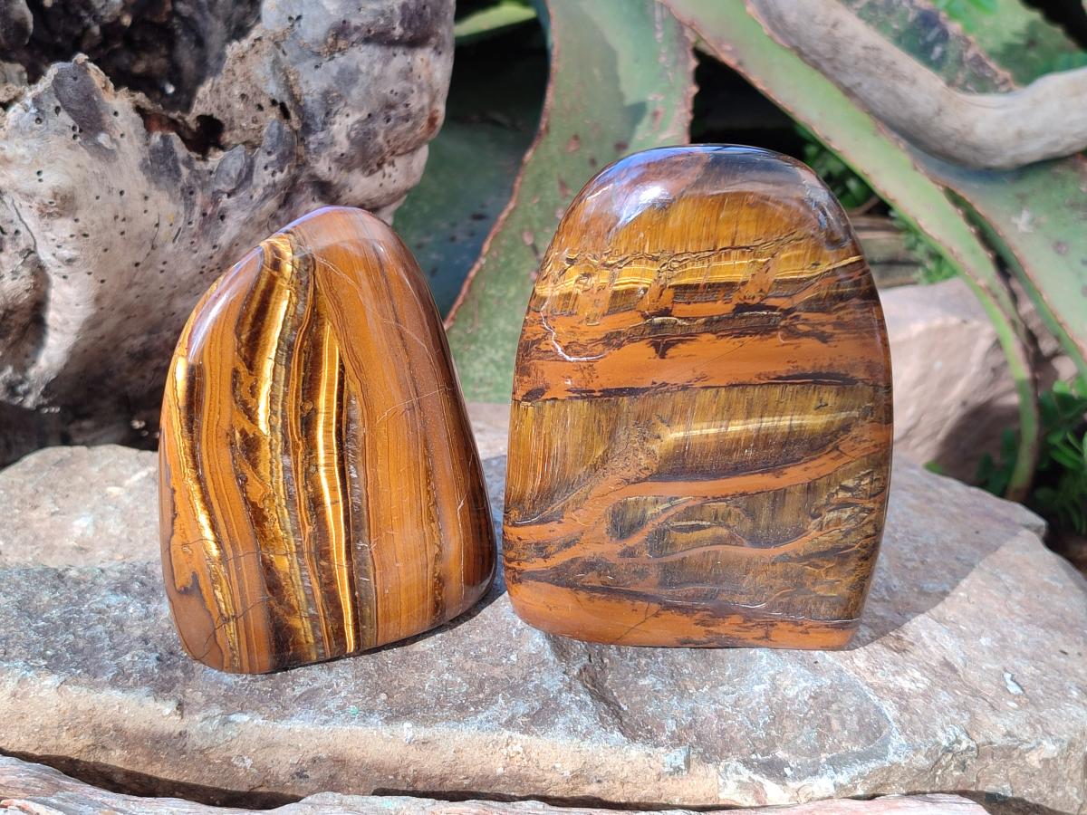 Polished Golden Tigers Eye Display Crystals x 3 From Prieska, South Africa - Toprock Gemstones and Minerals 
