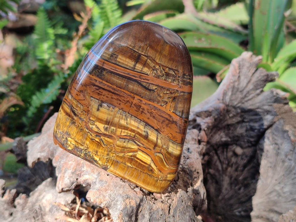 Polished Golden Tigers Eye Display Crystals x 3 From Prieska, South Africa - Toprock Gemstones and Minerals 
