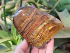 Polished Golden Tigers Eye Display Crystals x 3 From Prieska, South Africa - Toprock Gemstones and Minerals 