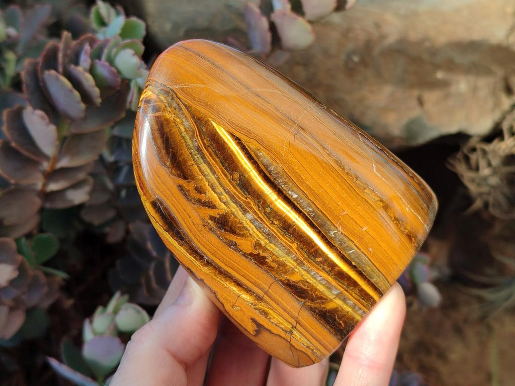Polished Golden Tigers Eye Display Crystals x 3 From Prieska, South Africa - Toprock Gemstones and Minerals 
