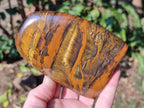 Polished Golden Tigers Eye Display Crystals x 3 From Prieska, South Africa - Toprock Gemstones and Minerals 