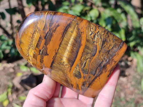 Polished Golden Tigers Eye Display Crystals x 3 From Prieska, South Africa - Toprock Gemstones and Minerals 