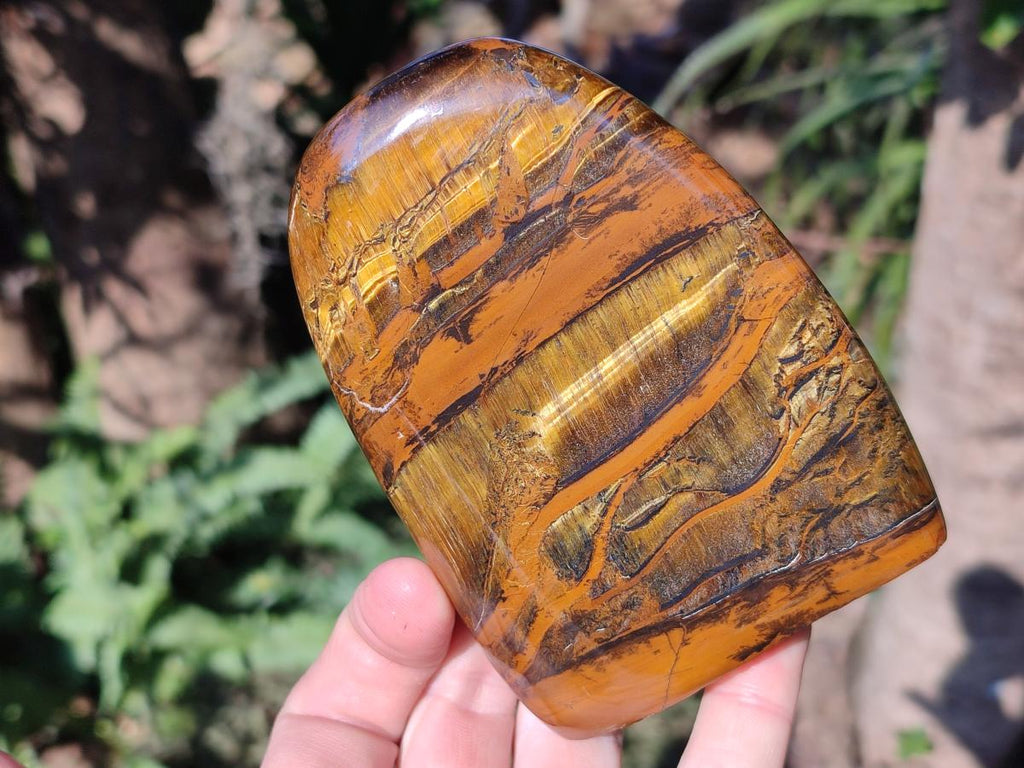 Polished Golden Tigers Eye Display Crystals x 3 From Prieska, South Africa - Toprock Gemstones and Minerals 