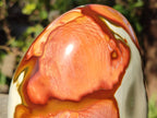 Polished Large Polychrome Jasper Standing Display Piece x 1 From NW Coast, Madagascar - Toprock Gemstones and Minerals 