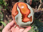 Polished Large Polychrome Jasper Standing Display Piece x 1 From NW Coast, Madagascar - Toprock Gemstones and Minerals 