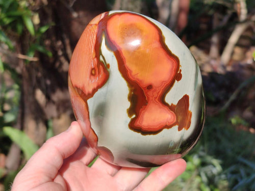 Polished Large Polychrome Jasper Standing Display Piece x 1 From NW Coast, Madagascar - Toprock Gemstones and Minerals 