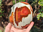 Polished Large Polychrome Jasper Standing Display Piece x 1 From NW Coast, Madagascar - Toprock Gemstones and Minerals 