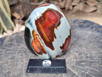 Polished Large Polychrome Jasper Standing Display Piece x 1 From NW Coast, Madagascar - Toprock Gemstones and Minerals 