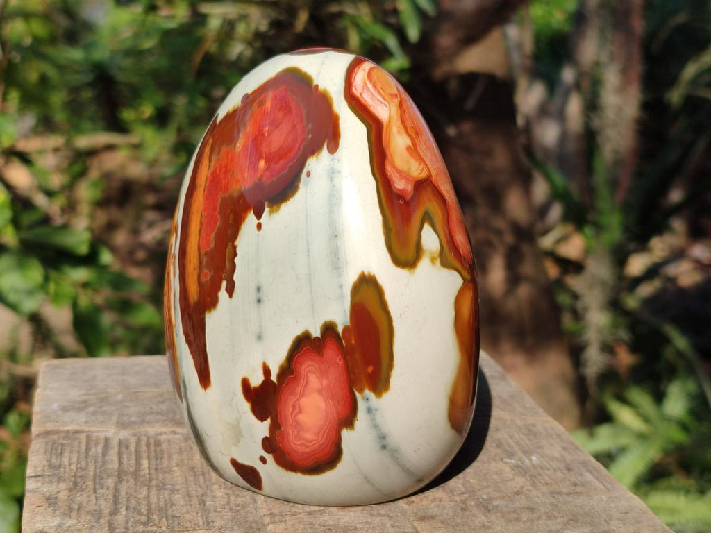Polished Large Polychrome Jasper Standing Display Piece x 1 From NW Coast, Madagascar - Toprock Gemstones and Minerals 