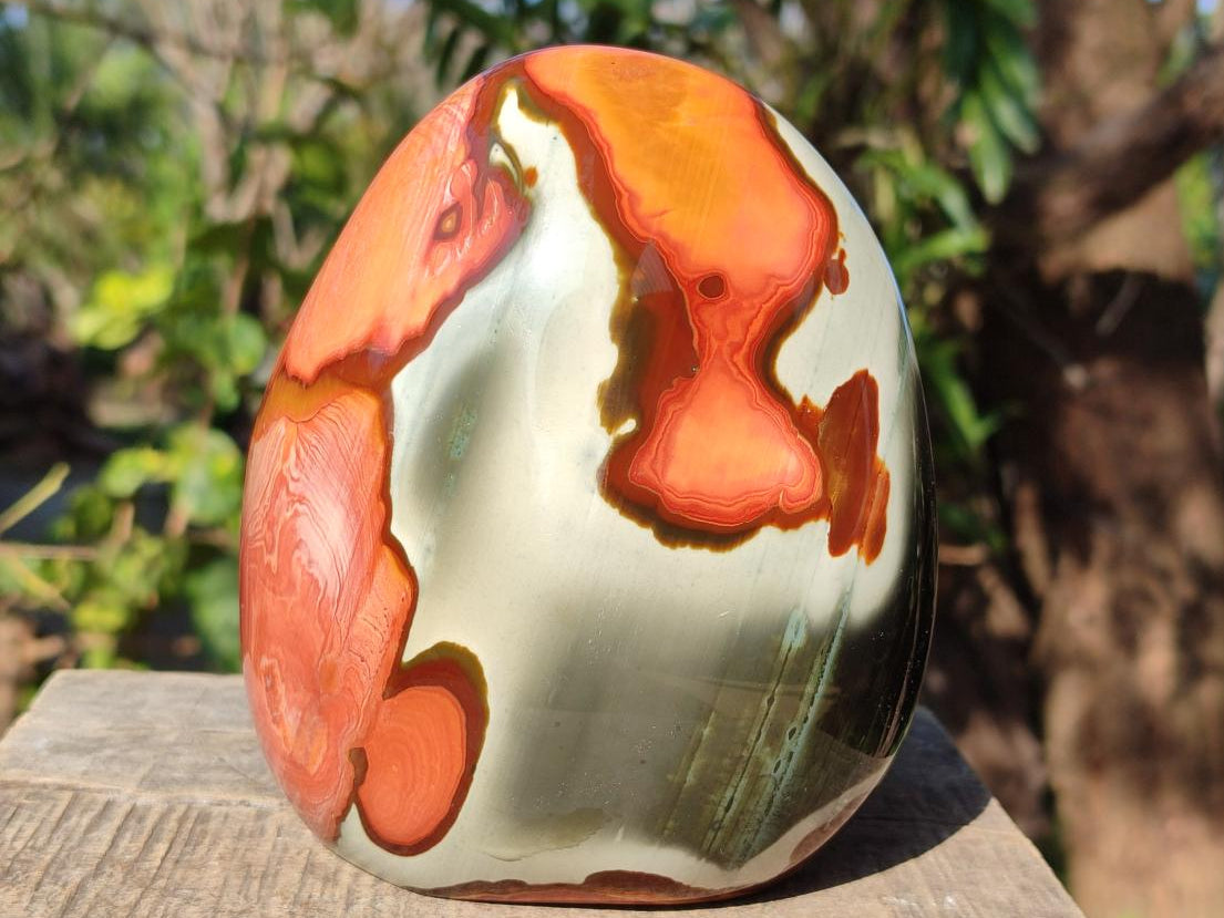 Polished Large Polychrome Jasper Standing Display Piece x 1 From NW Coast, Madagascar - Toprock Gemstones and Minerals 