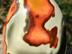 Polished Large Polychrome Jasper Standing Display Piece x 1 From NW Coast, Madagascar - Toprock Gemstones and Minerals 