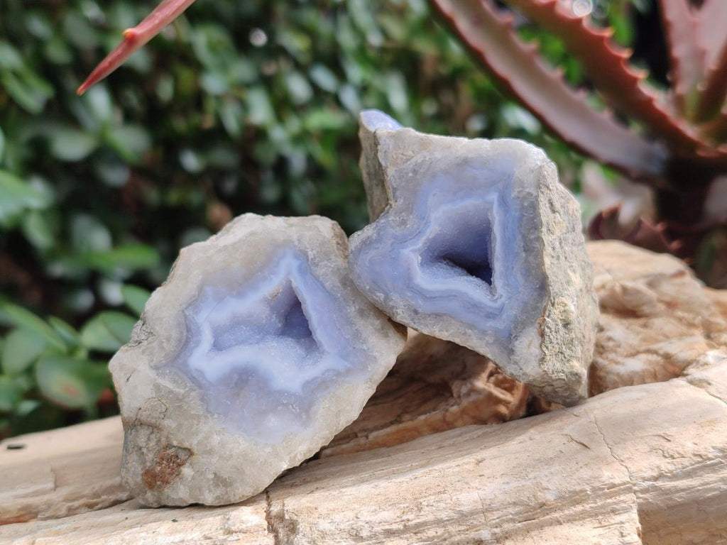 Polished on One Side Blue Lace Agate Geodes x 12 From Nsanje, Malawi - Toprock Gemstones and Minerals 