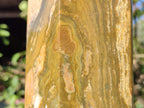 Polished XL Ocean Jasper Tower x 1 From Northwest Coast, Madagascar - Toprock Gemstones and Minerals 