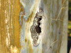 Polished XL Ocean Jasper Tower x 1 From Northwest Coast, Madagascar - Toprock Gemstones and Minerals 