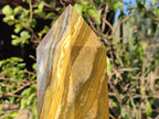 Polished XL Ocean Jasper Tower x 1 From Northwest Coast, Madagascar - Toprock Gemstones and Minerals 