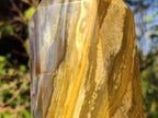 Polished XL Ocean Jasper Tower x 1 From Northwest Coast, Madagascar - Toprock Gemstones and Minerals 