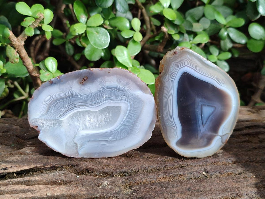 Polished Banded Agate Slices x 12 From Madagascar - Toprock Gemstones and Minerals 