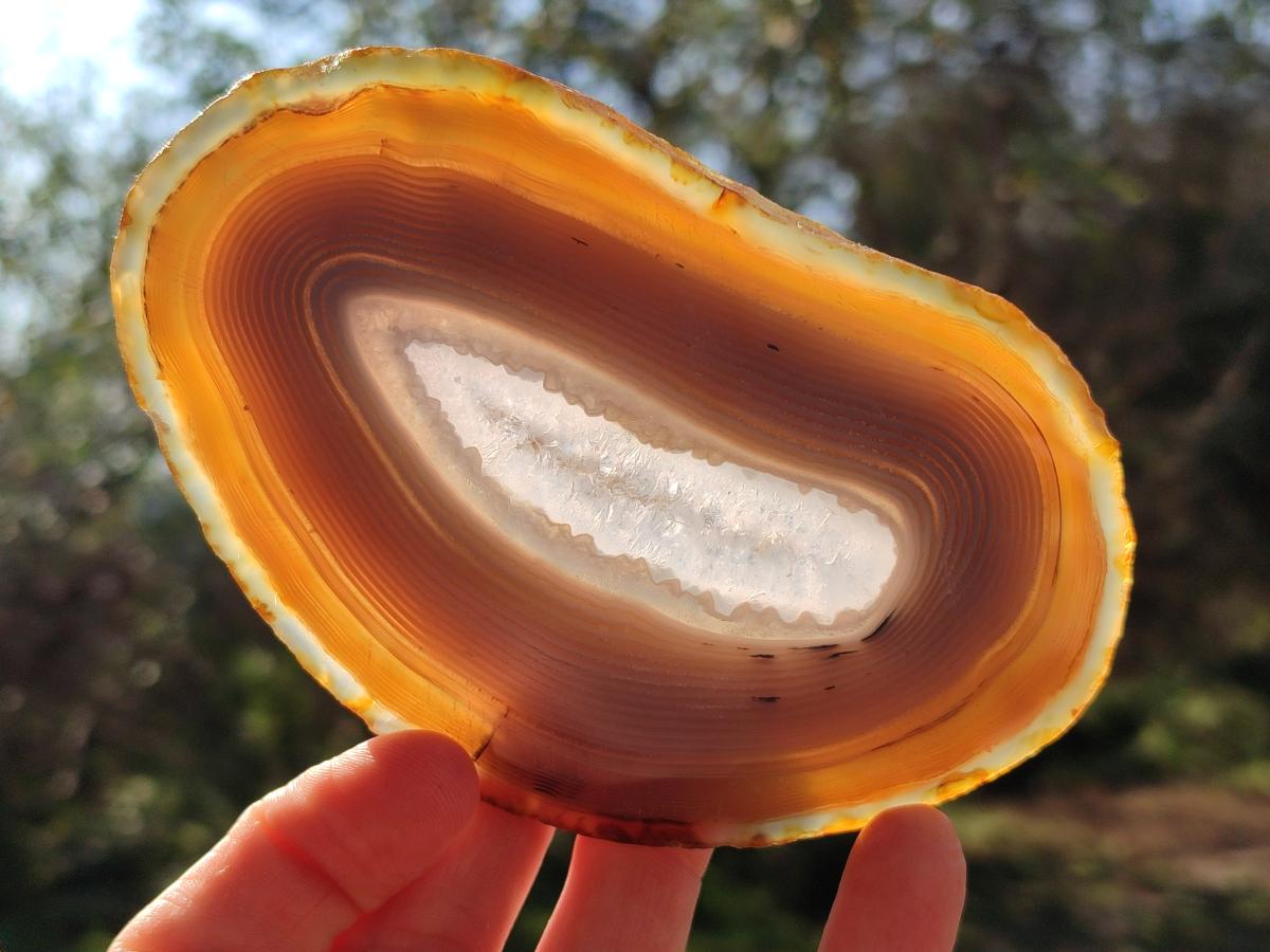 Polished Banded Agate Slices x 12 From Madagascar - Toprock Gemstones and Minerals 