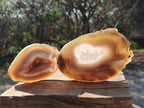 Polished Banded Agate Slices x 12 From Madagascar - Toprock Gemstones and Minerals 