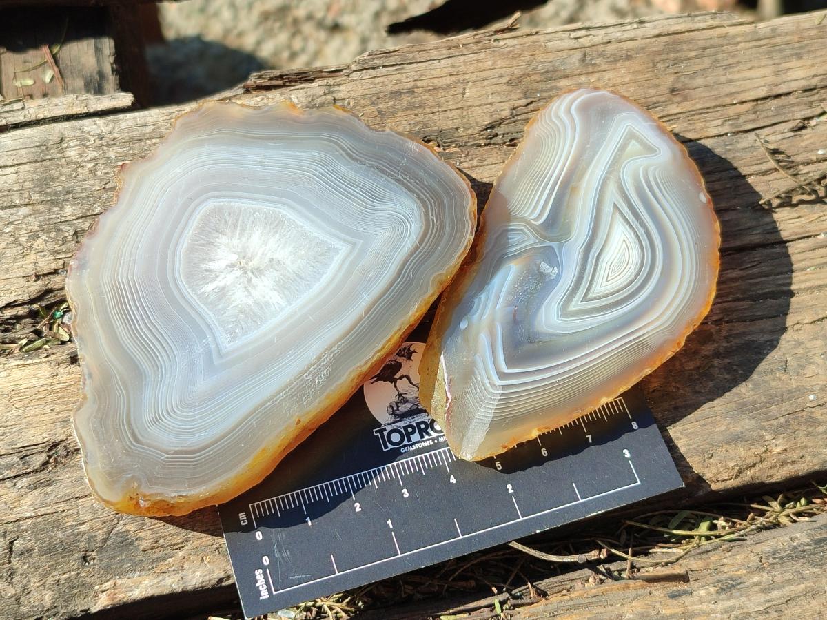 Polished Banded Agate Slices x 12 From Madagascar - Toprock Gemstones and Minerals 
