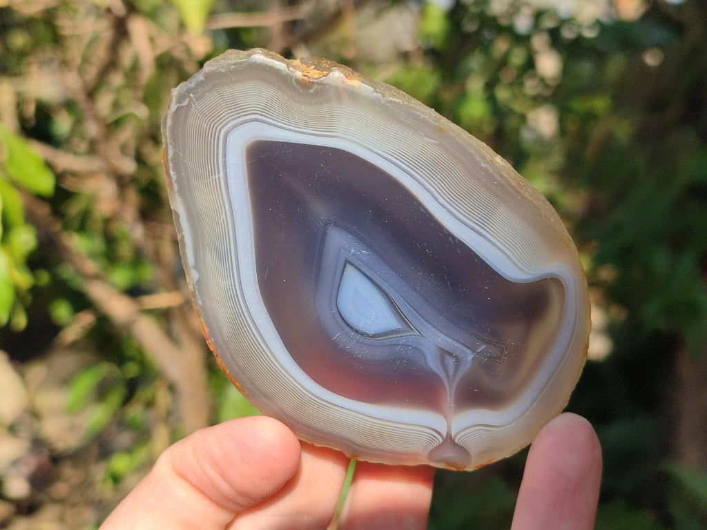 Polished Banded Agate Slices x 12 From Madagascar - Toprock Gemstones and Minerals 