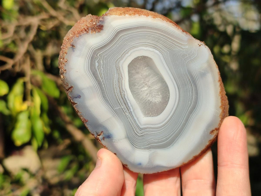 Polished Banded Agate Slices x 12 From Madagascar - Toprock Gemstones and Minerals 