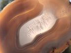 Polished Banded Agate Slices x 12 From Madagascar - Toprock Gemstones and Minerals 