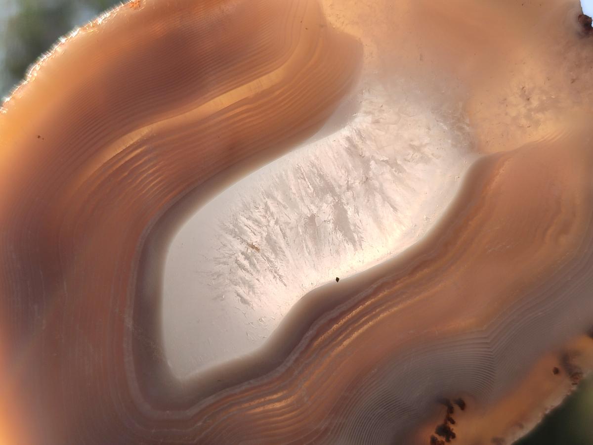 Polished Banded Agate Slices x 12 From Madagascar - Toprock Gemstones and Minerals 