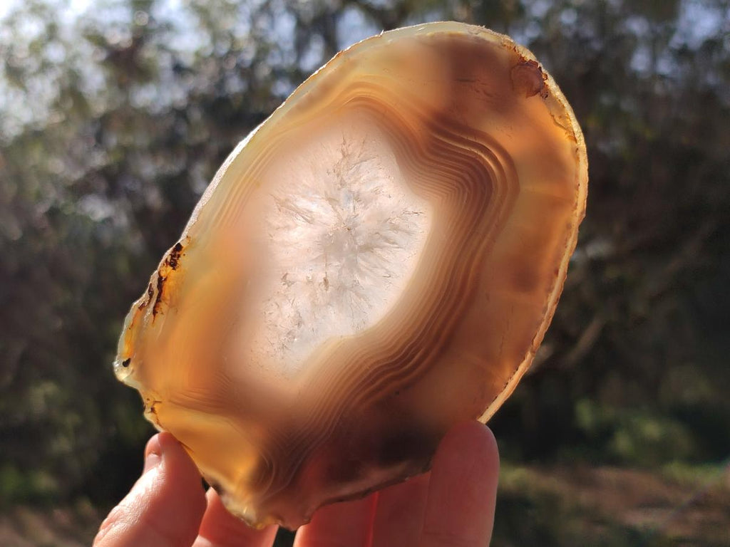 Polished Banded Agate Slices x 12 From Madagascar - Toprock Gemstones and Minerals 